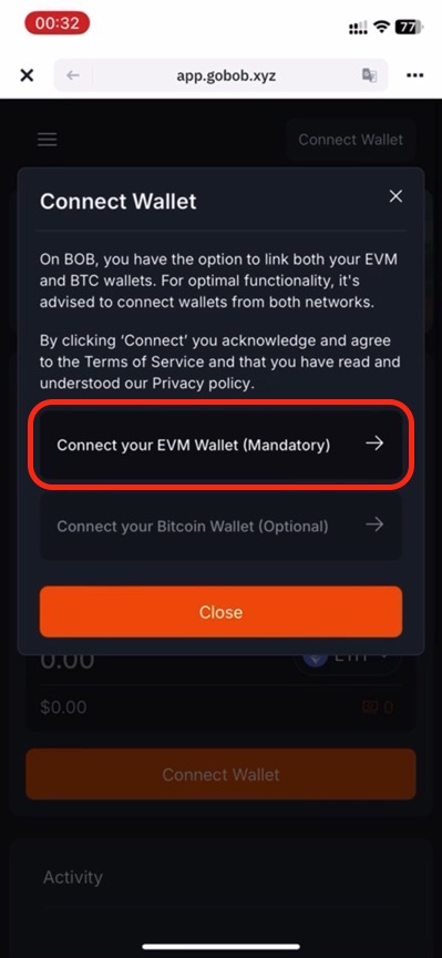 Connect EVM wallet